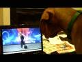 videos de Kooper is amazed