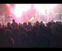 primitive reason - so you say (live)