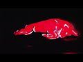 Asi ruhlar uyanıyor, kalp atışları hızlanıyor. İşte Infiniti sponsorluğunda geliştirilen ve 2012 sezonuna damgasını vuracak olan RB8 Formula 1 aracı karşınızda! http://www.youtube.com/watch?v=6LLfucaiYz0
