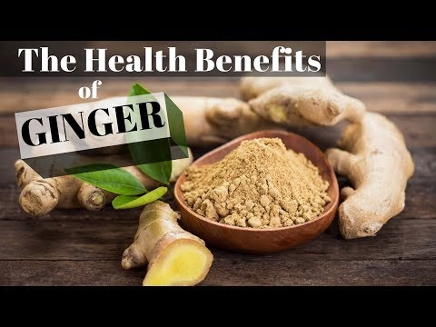 health - http://www.celestialhealing.net/healthintro..htm The Heath Benefits of Ginger are many. Ginger is one of the world's seven most potent disease-fighting spice...