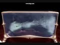 Nvidia smoke+water demo