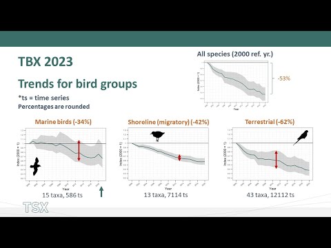 <p>Australia’s Threatened Bird Index: what does the 2023 update tell us about population trends for our threatened birds?</p>
 video thumbnail