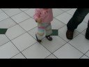 Karol Getting New Shoes