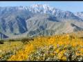 PALM SPRINGS - YouTube
