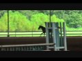 En Vogue Hunter Course