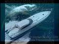 The megalodon-World's Biggest Shark