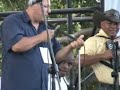 el pollo gallo puya de juan david el pollito herrera