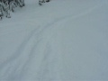 kitimat snowmobiles kitimat snowmobiles