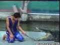aligator stunt aligator stunt