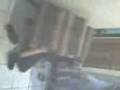 videos de Alfonso VS Mau