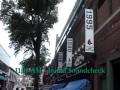 The Dartmouth Cords @ Fenway Park