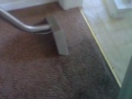 Deep Clean Carpet &a