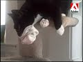 My name is Kitty and I play like many other cats, but one day I heard Mommy telling people that I don't meow; I bark instead