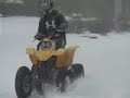 joe raptor snow storm
