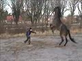 Me playing with my horse Pink