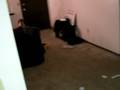 CIMG0240.MOV