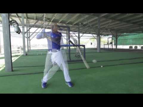Rawlings Major League Maple Wood Bat: PMXXX Adult
