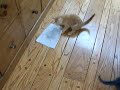 100_0875.MOV 100_0875.MOV