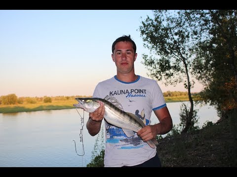 рыбалка на ахтубе 2016 видео пироговка рыбалка на ахтубе 2016 видео пироговка