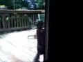 Video from My Phone (0622081135.3gp)