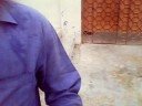 aby yaar