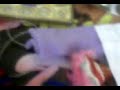 Video-0001.mp4