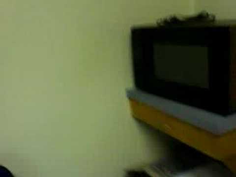 My Stay at Pennington