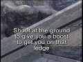 �Halo 3� Skip the tower on Halo
