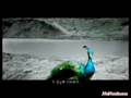 F.I.R 最新专辑 首播主打《月牙湾》MV