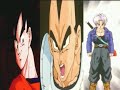 Dragon Ball Z Vegetas Afflictions