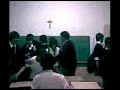 Matabicho Cetáceo Matabicho Cetáceo