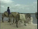 Kenya Travel Doc - Part 03