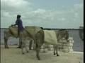 videos de Kenya Travel Doc - Part 03