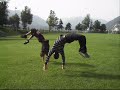 backflip - flik flak - 2namit - flavio backflip - flik flak - 2namit - flavio