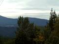 View From the Top
