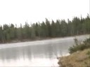 Svartkulp_Skating.wmv