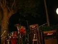 videos de Born to be wild mad fest