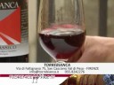 Torre Bianca - Florence Wine (English) 31