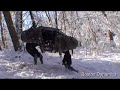 cool robot "BIG DOG"