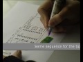 Double-sided soldering with the Elektor SMT Oven