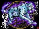 ???? -FULL Cardinal Gate Conclusion-