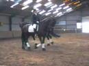 Friezen pas de deux tjerk en tjitse