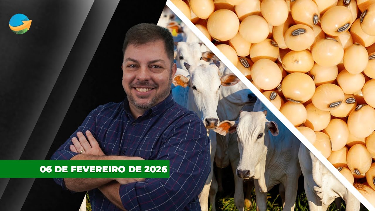 Soja firme nos US$11/bushel com mais uma sessão de alta em Chicago; referência do boi...