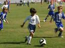 Pinecrest Premier U-10