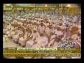 الشاعر احمد بن صعفق