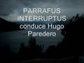 Parrafus Interruptus, poesía y música