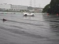 COP15動画16