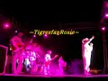 LOS TIGRES DEL NORTE