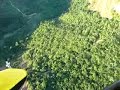 voo de trike. Almenara paraiso dos voos