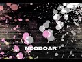 NEOBOARD